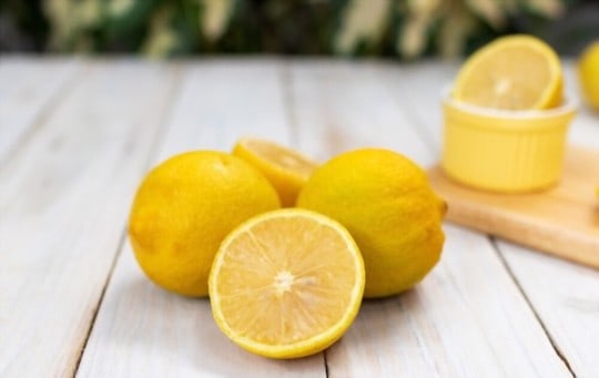 lisbon lemon