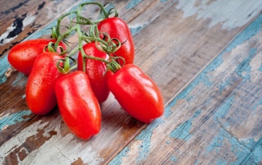 plum style tomatoes