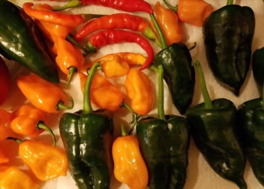 roasted pablano peppers