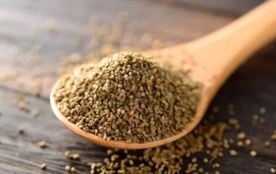The 5 Best Substitutes for Celery Seeds