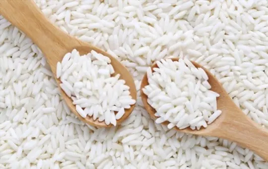 The 5 Best Substitutes for Glutinous Rice