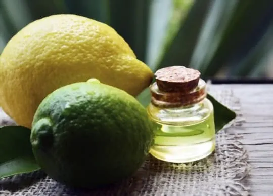 The 5 Best Substitutes for Lemon Extract