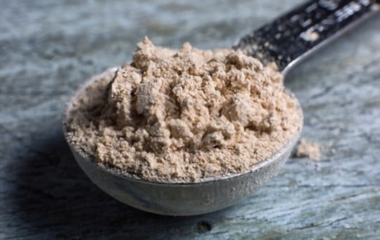 The 5 Best Substitutes for Malt Powder