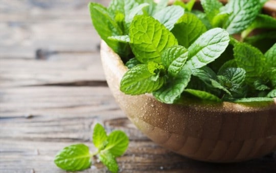 The 5 Best Substitutes for Mint