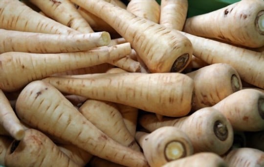 The 5 Best Substitutes for Parsnips