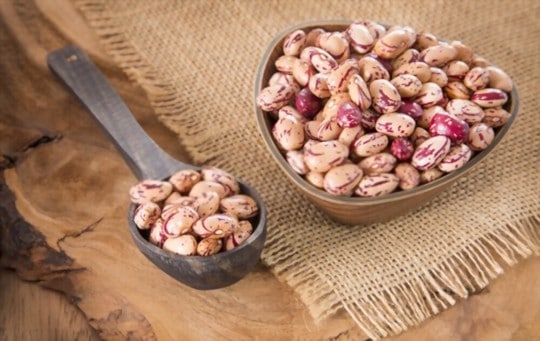The 5 Best Substitutes for Pinto Beans