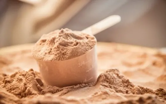 The 5 Best Substitutes for Protein Powder