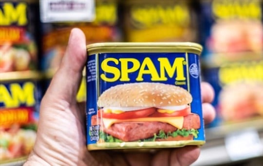 The 5 Best Healthy Substitutes for Spam