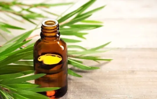 The 5 Best Substitutes for Tea Tree Oil