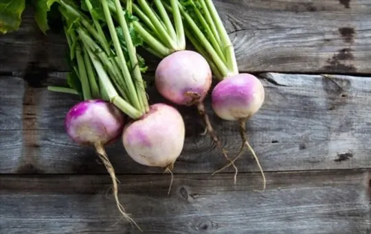 turnips