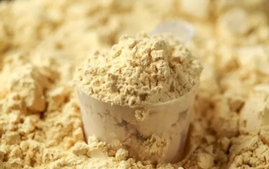 vegan pea protein powder