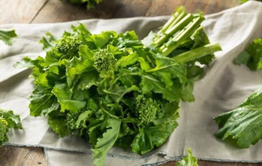 what is broccoli rabe