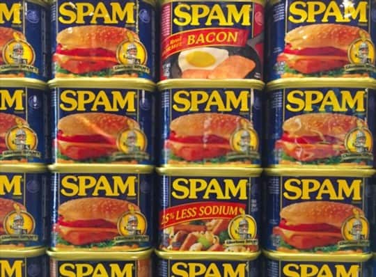 what is spam