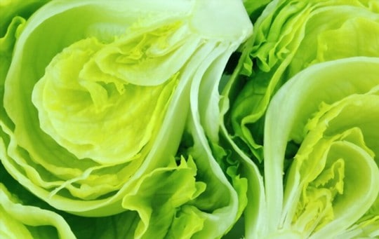bibb lettuce salad