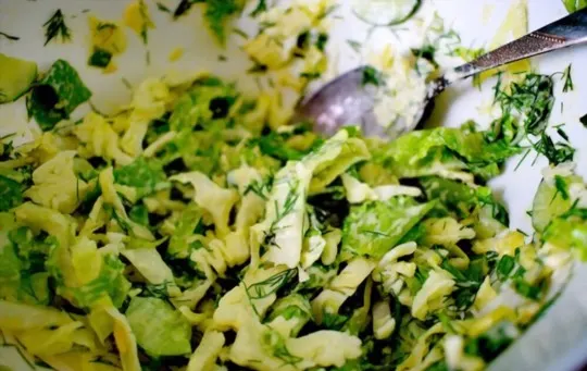 cabbage and cucumber salad