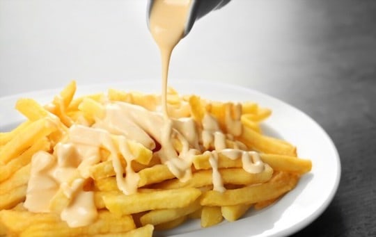 cheesy french fries