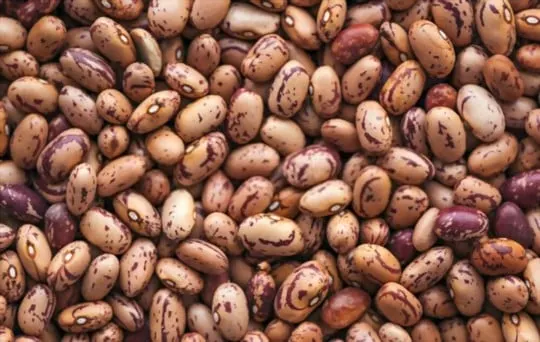 dried pinto beans