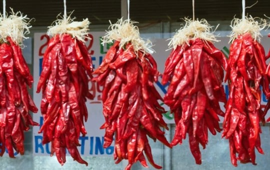 new mexico chili peppers