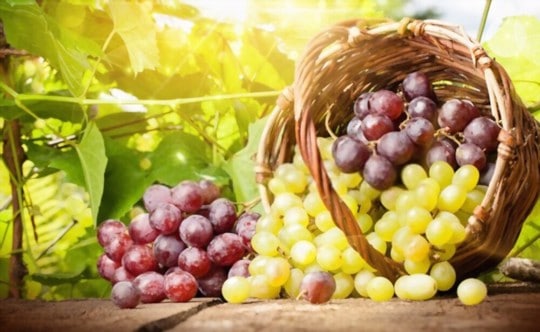 seedless red and green grapes