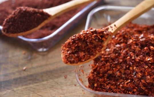 The 5 Best Substitutes for Aleppo Peppers