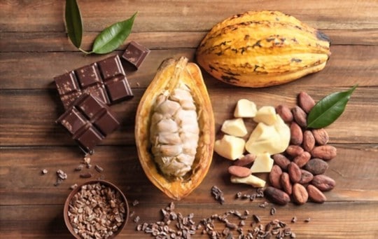 The 5 Best Substitutes for Cocoa Butter