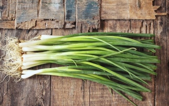 The 5 Best Substitutes for Green Onions