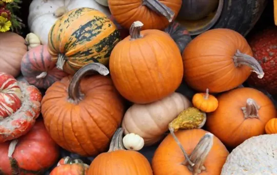 The 5 Best Substitutes for Pumpkin