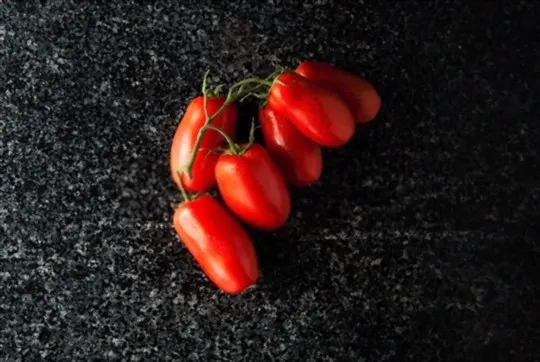 The 5 Best Substitutes for San Marzano Tomatoes