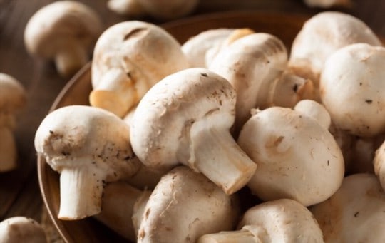 what is button mushroom
