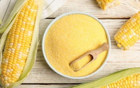 what is cornmeal