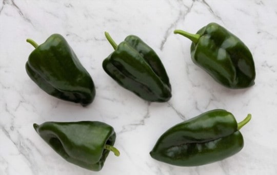 what is poblano pepper