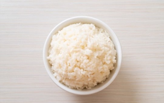 steamed or boiled rice