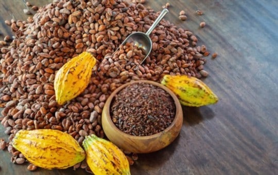 The 5 Best Substitutes for Cocoa Nibs