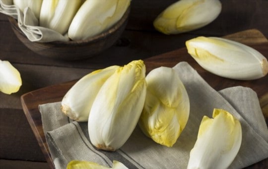 The 5 Best Substitutes for Endive