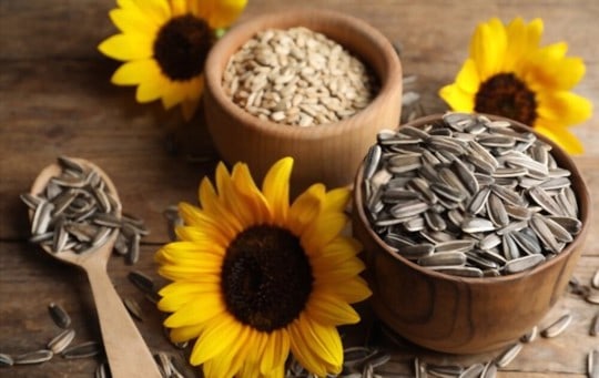 what are sunflower seeds