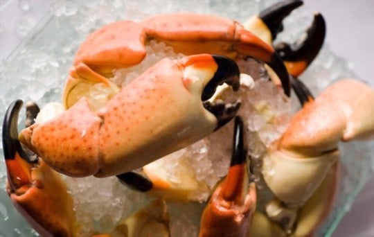 What to Serve with Stone Crabs? 7 BEST Side Dishes