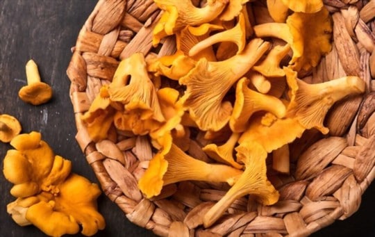 how to cook chanterelle mushrooms