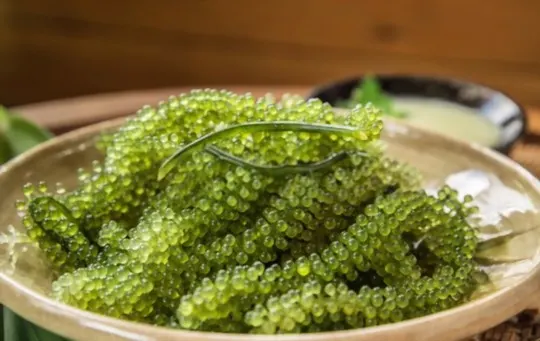 how to cook sea grapes