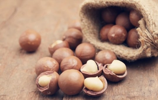 how to use macadamia nuts in recipes