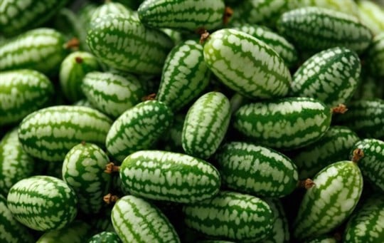 what do cucamelons taste like