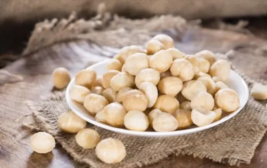 what do macadamia nuts taste like