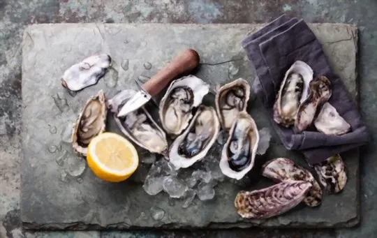 what do oysters taste like