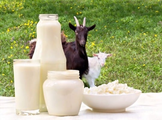 what does goat milk taste like