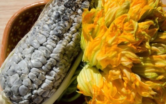 what is huitlacoche