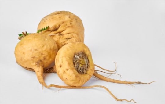what is maca root and powder