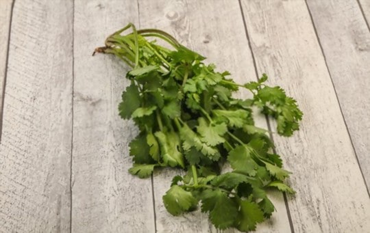 The 5 Best Substitutes for Coriander