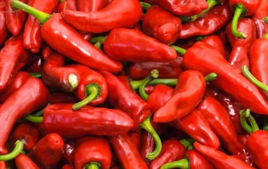 The 5 Best Substitutes for Espelette Peppers