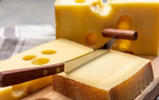 The 5 Best Substitutes for Gruyere Cheese