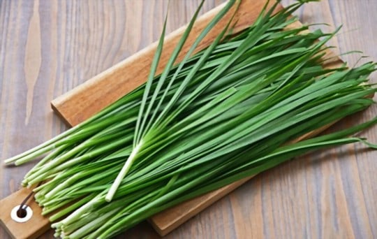 The 4 Best Substitutes for Chives