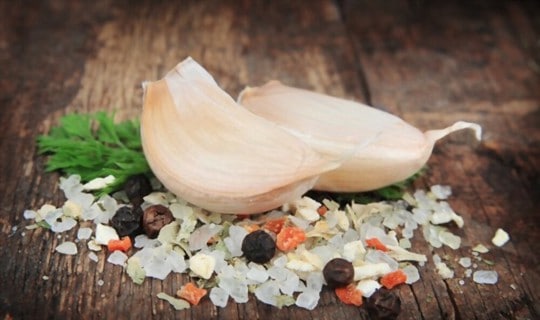 The 5 Best Substitutes for Garlic Salt